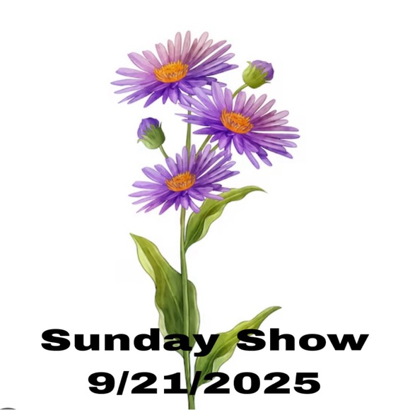 Random pulls - Picture 1 of 1